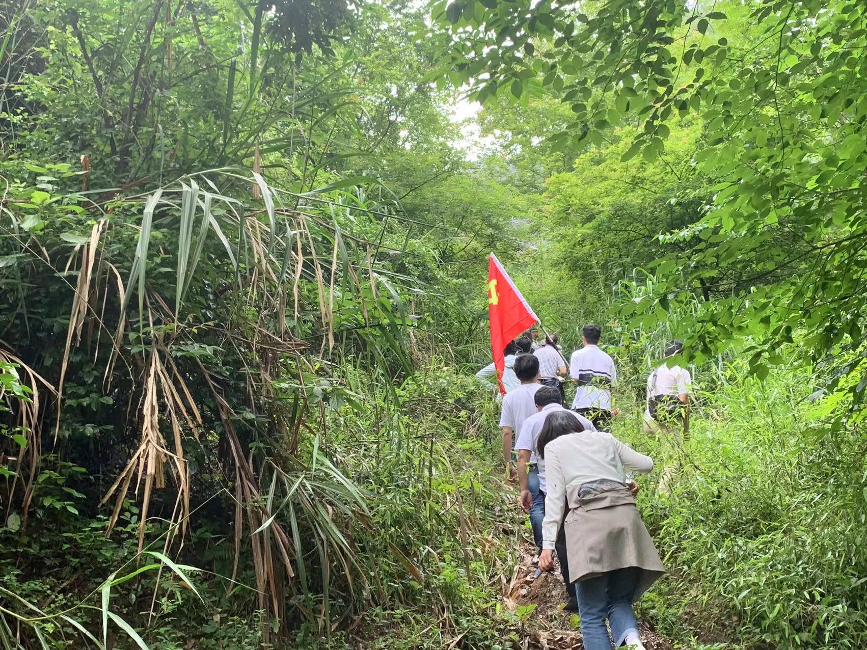 地质矿产勘查